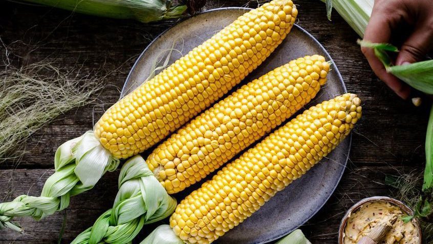 پخت بلال در زودپز