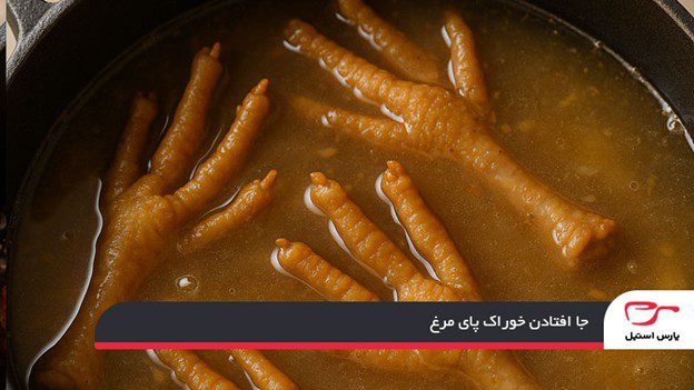 جا افتادن خوراک پای مرغ